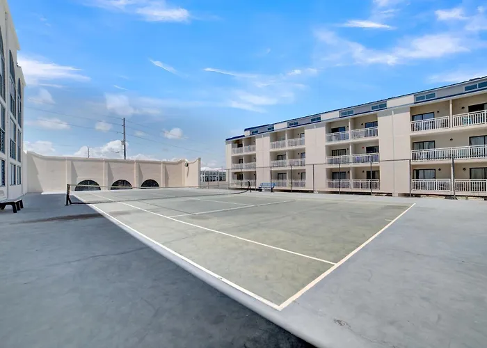 Apartment Sugar 335 By Collection *