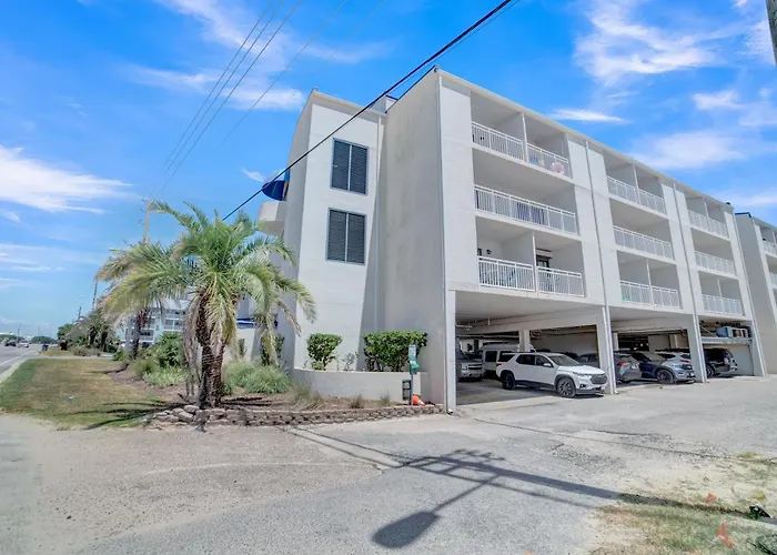 Apartment Sugar 335 By Collection